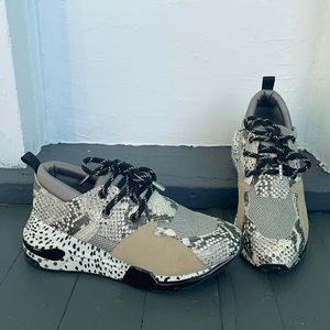 Steve Madden Cliff Snakeskin Multi Sneakers